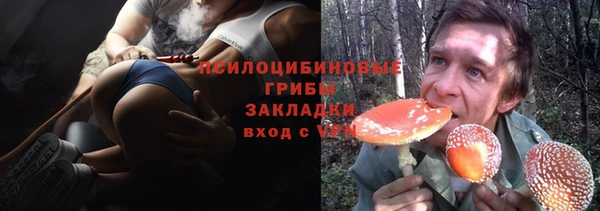 ГАЛЛЮЦИНОГЕННЫЕ ГРИБЫ Заводоуковск