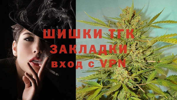 ГАЛЛЮЦИНОГЕННЫЕ ГРИБЫ Заводоуковск