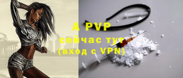 ГАЛЛЮЦИНОГЕННЫЕ ГРИБЫ Заводоуковск