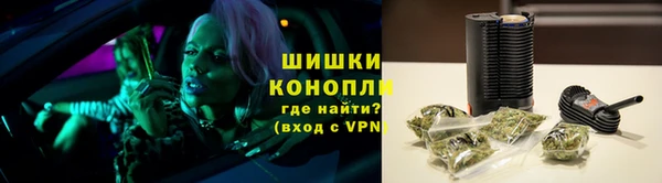 ГАЛЛЮЦИНОГЕННЫЕ ГРИБЫ Заводоуковск