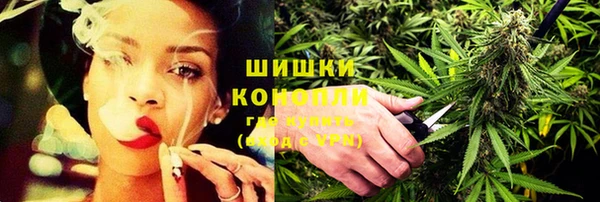 ГАЛЛЮЦИНОГЕННЫЕ ГРИБЫ Заводоуковск