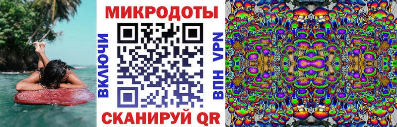 Галлюциногенные грибы мицелий  Купить закладки  Томари 